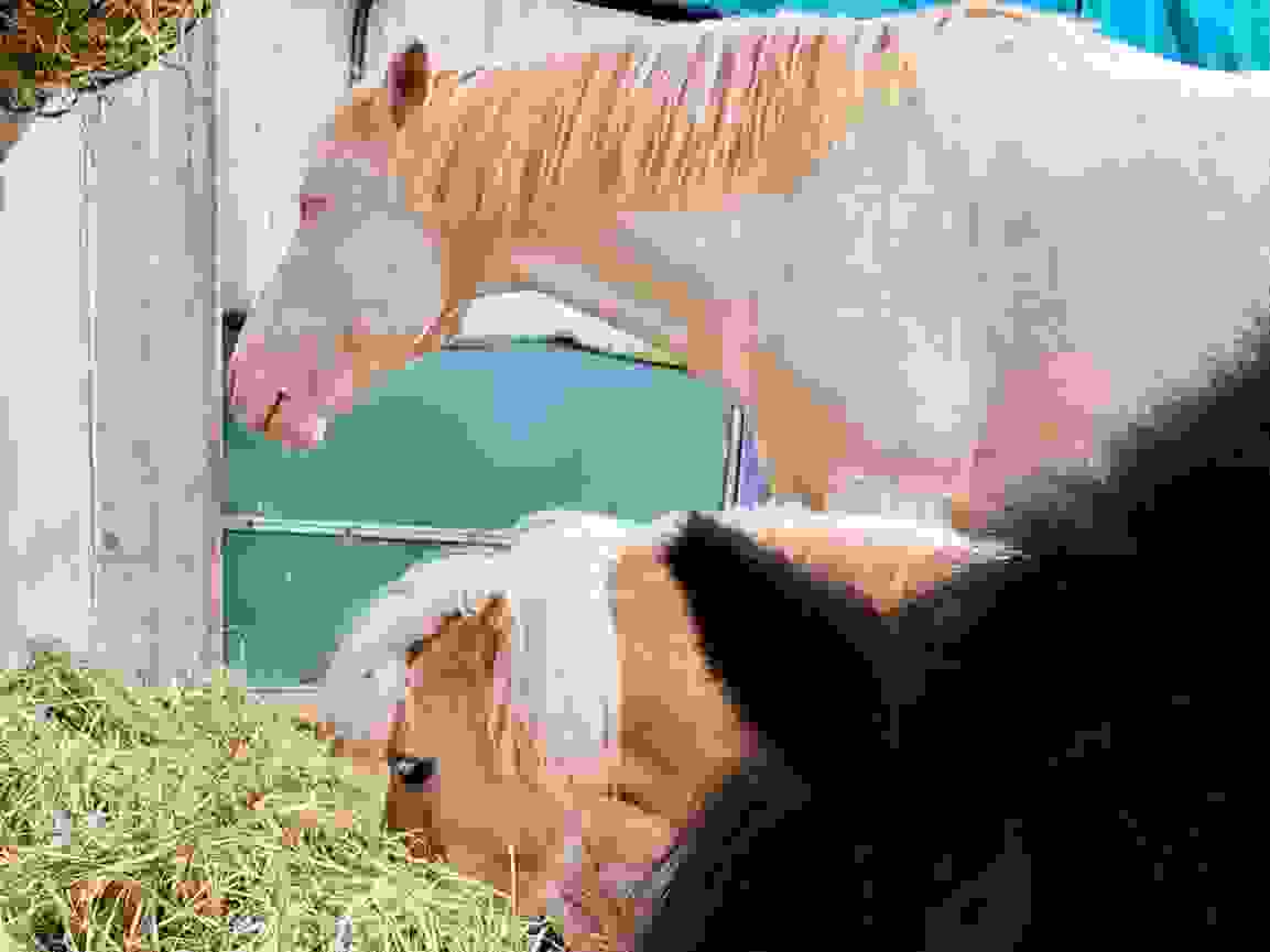 d427fe21-ccdb-49d6-b1cd-aa439ca663e2_1.jpeg